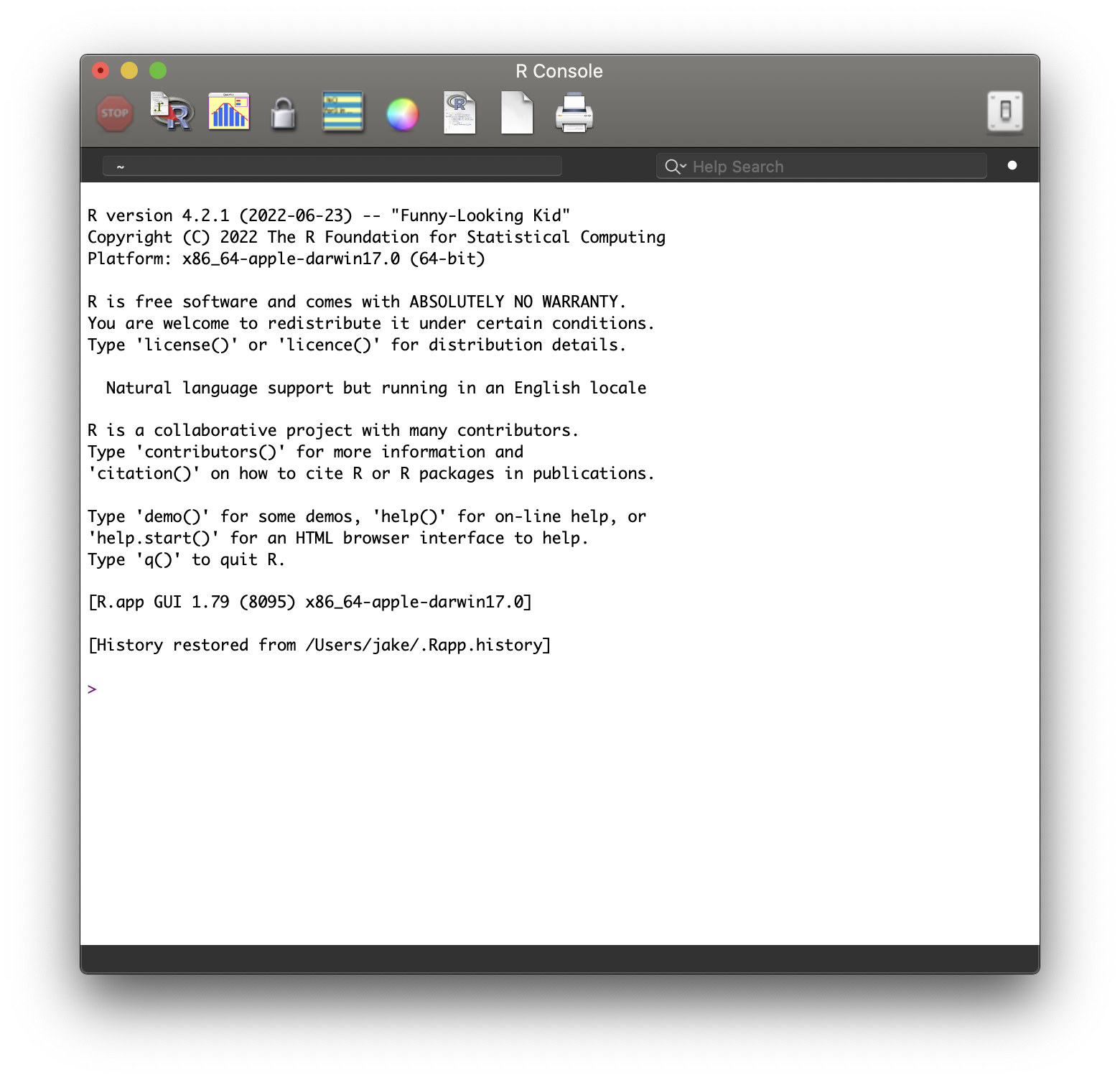 The R graphical console